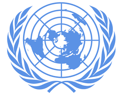 Recrutement de 01 Programme Associate (Individual Contractor)